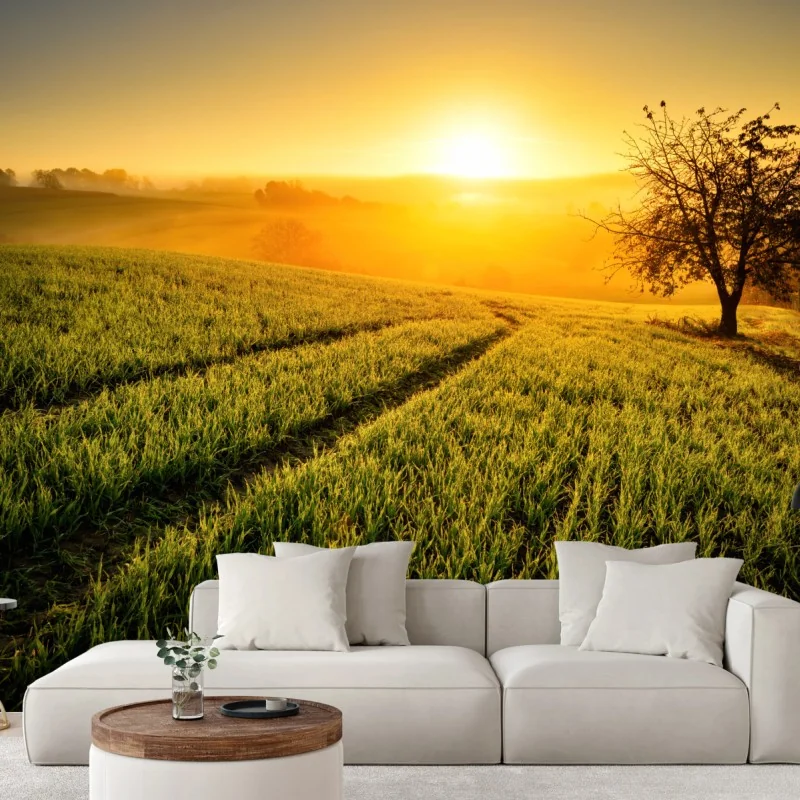 Fototapete sonnenbeschienene wiese im frühlicht – Wallnifity® Fototapete sonnenbeschienene wiese im frühlicht – Wallnifity®