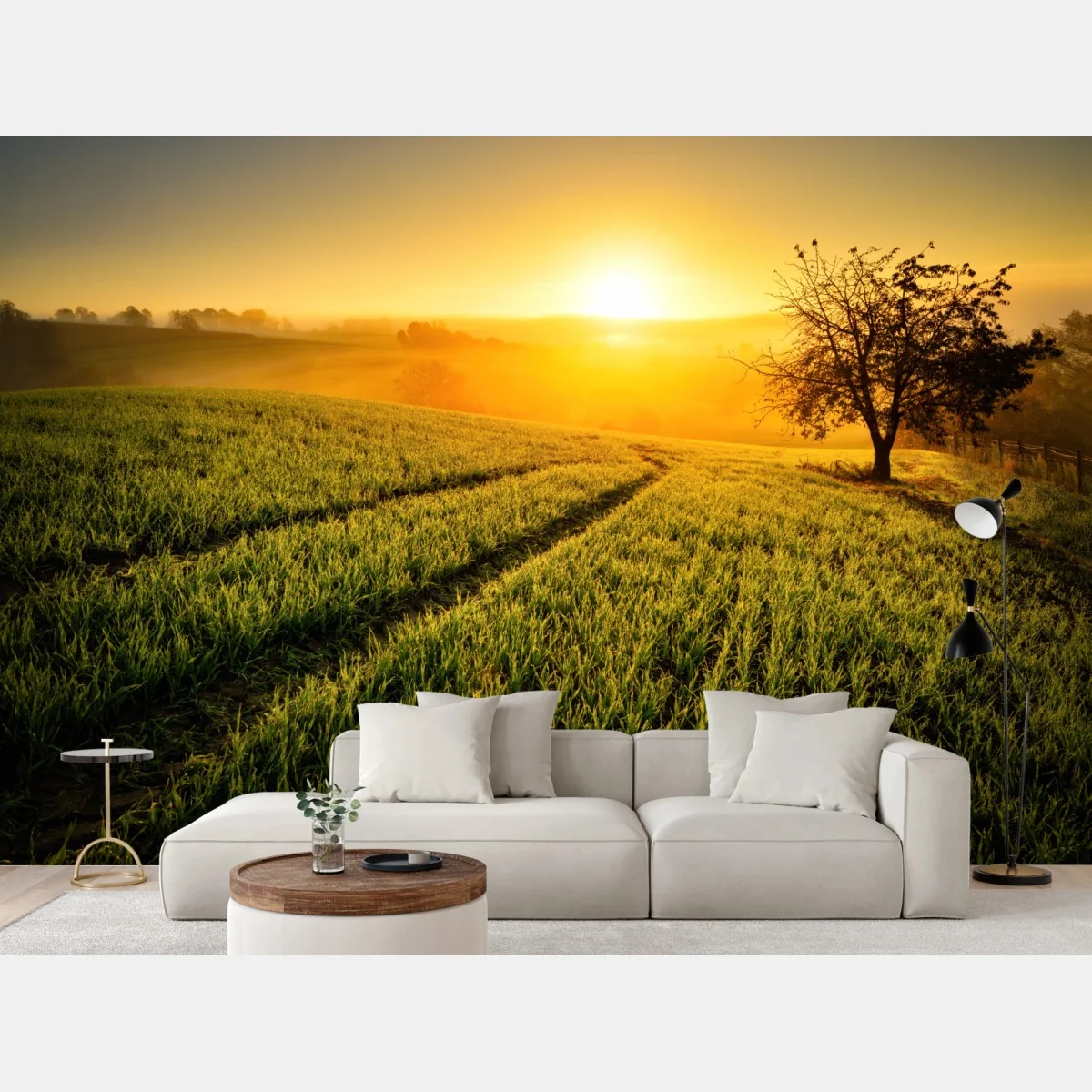 Fototapete sonnenbeschienene wiese im frühlicht – Wallnifity® Fototapete sonnenbeschienene wiese im frühlicht – Wallnifity®