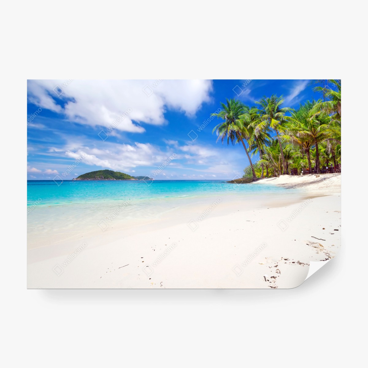 Fototapete tropischer türkisstrand – Wallnifity®