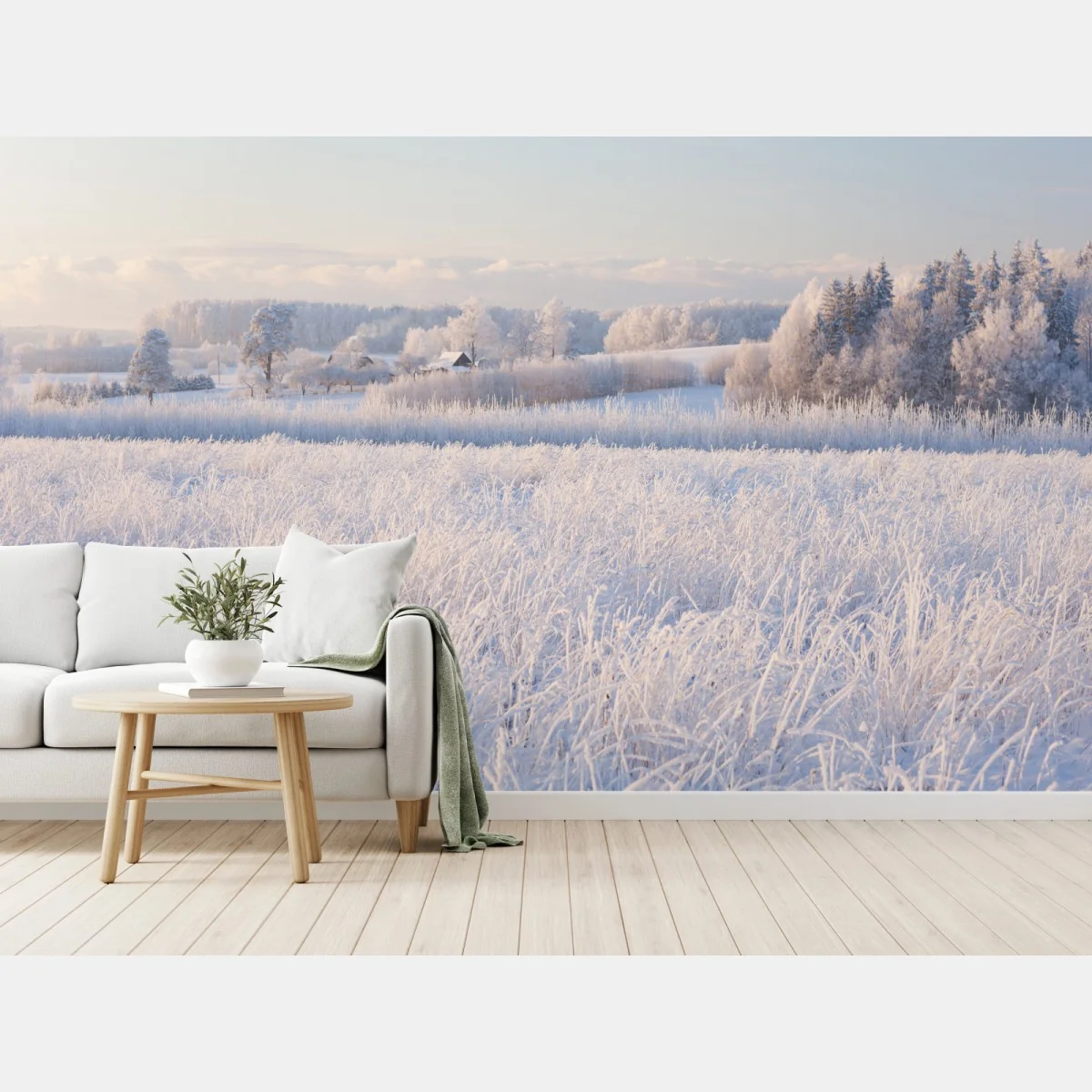 Fototapete wiese mit reif im morgenlicht – Wallnifity® Fototapete wiese mit reif im morgenlicht – Wallnifity®