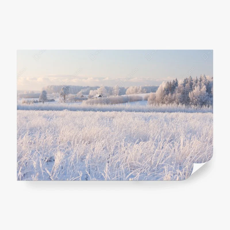 Fototapete üppige tropische dschungellandschaft – Wallnifity®