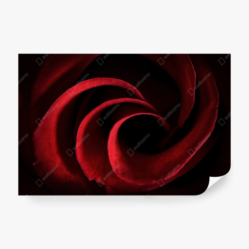 Fototapete schwarzweißes schlagzeug nahaufnahme – Wallnifity®