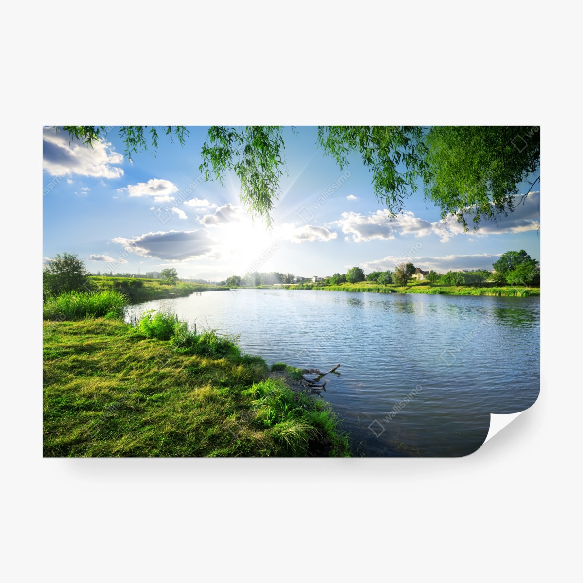 Fototapete sonnenbeschienenes flussufer mit üppigem grün – Wallnifity®