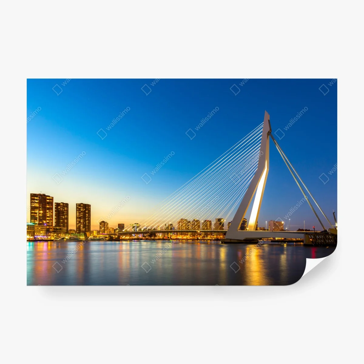 Fototapete Rotterdam Erasmusbrücke bei dämmerung – Wallnifity®