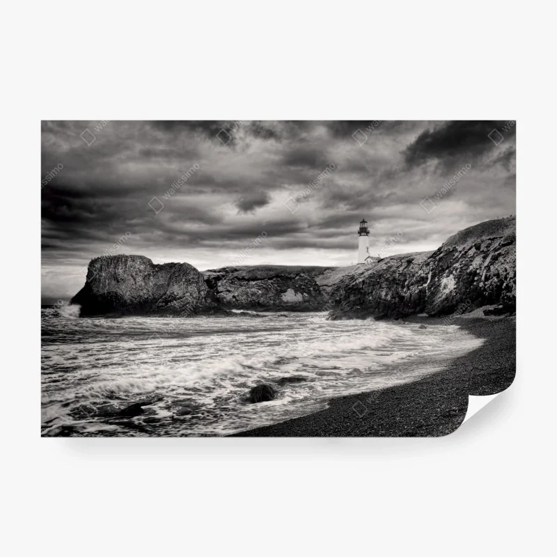 Fototapete tropischer dschungel mit wildtieren – Wallnifity®