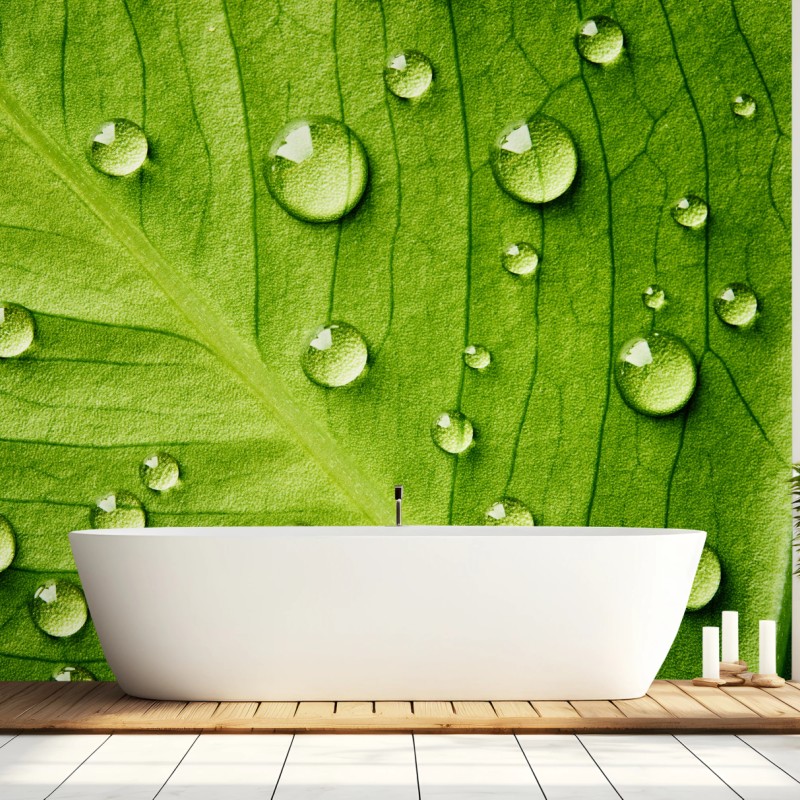 Fototapete frisches grünes blatt mit wassertropfen