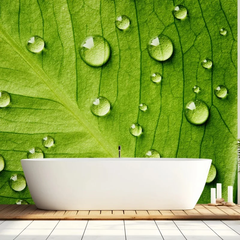 Fototapete frisches grünes blatt mit wassertropfen