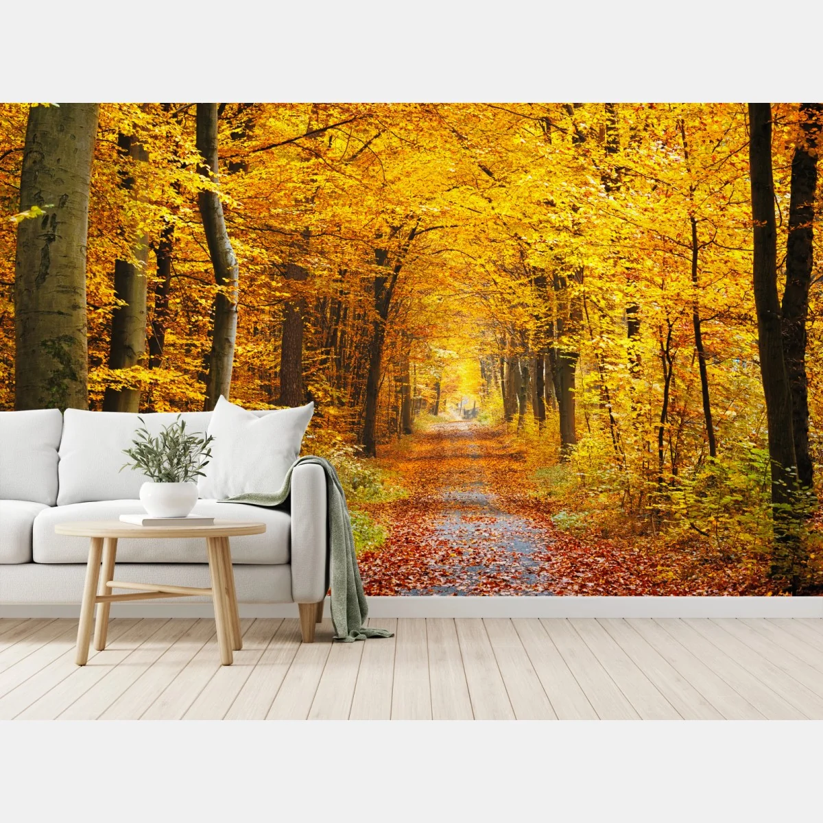 Fototapete goldener herbstwald pfad – Wallnifity® Fototapete goldener herbstwald pfad – Wallnifity®