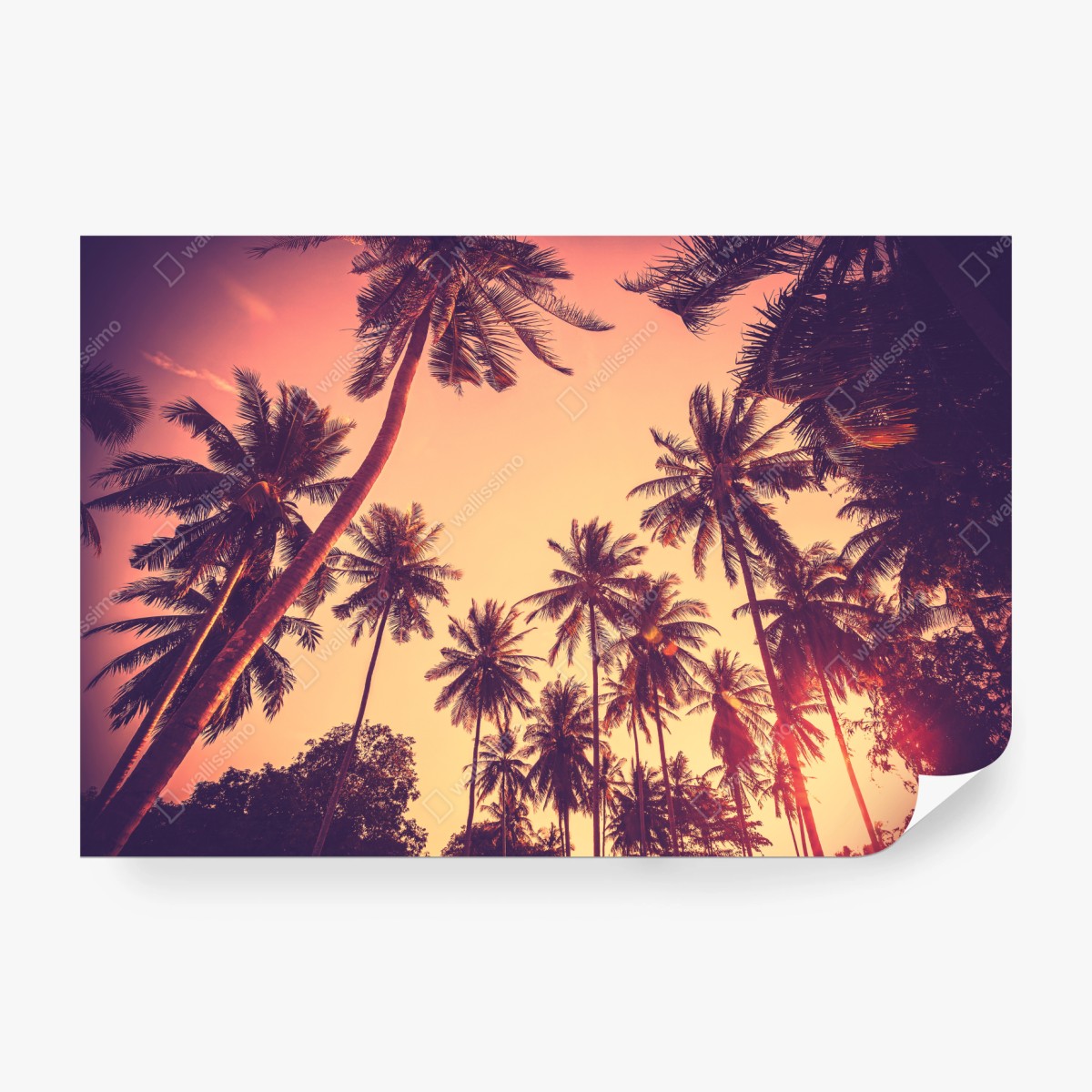 Fototapete vintage tropischer sonnenuntergang mit palmen – Wallnifity® Fototapete vintage tropischer sonnenuntergang mit palmen – Wallnifity®