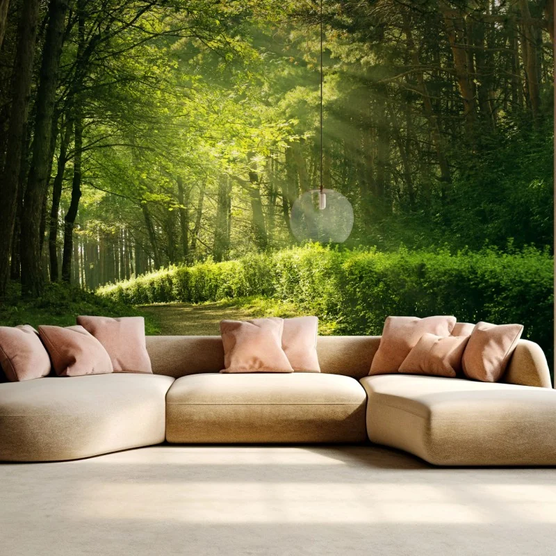 Fototapete sonnenbeschienener waldpfad im grünen – Wallnifity® Fototapete sonnenbeschienener waldpfad im grünen – Wallnifity®