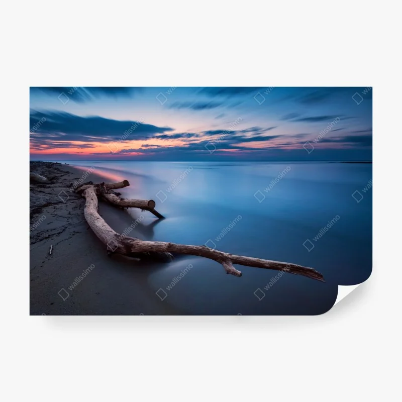 Fototapete treibholz bei dämmerung am ruhigen strand