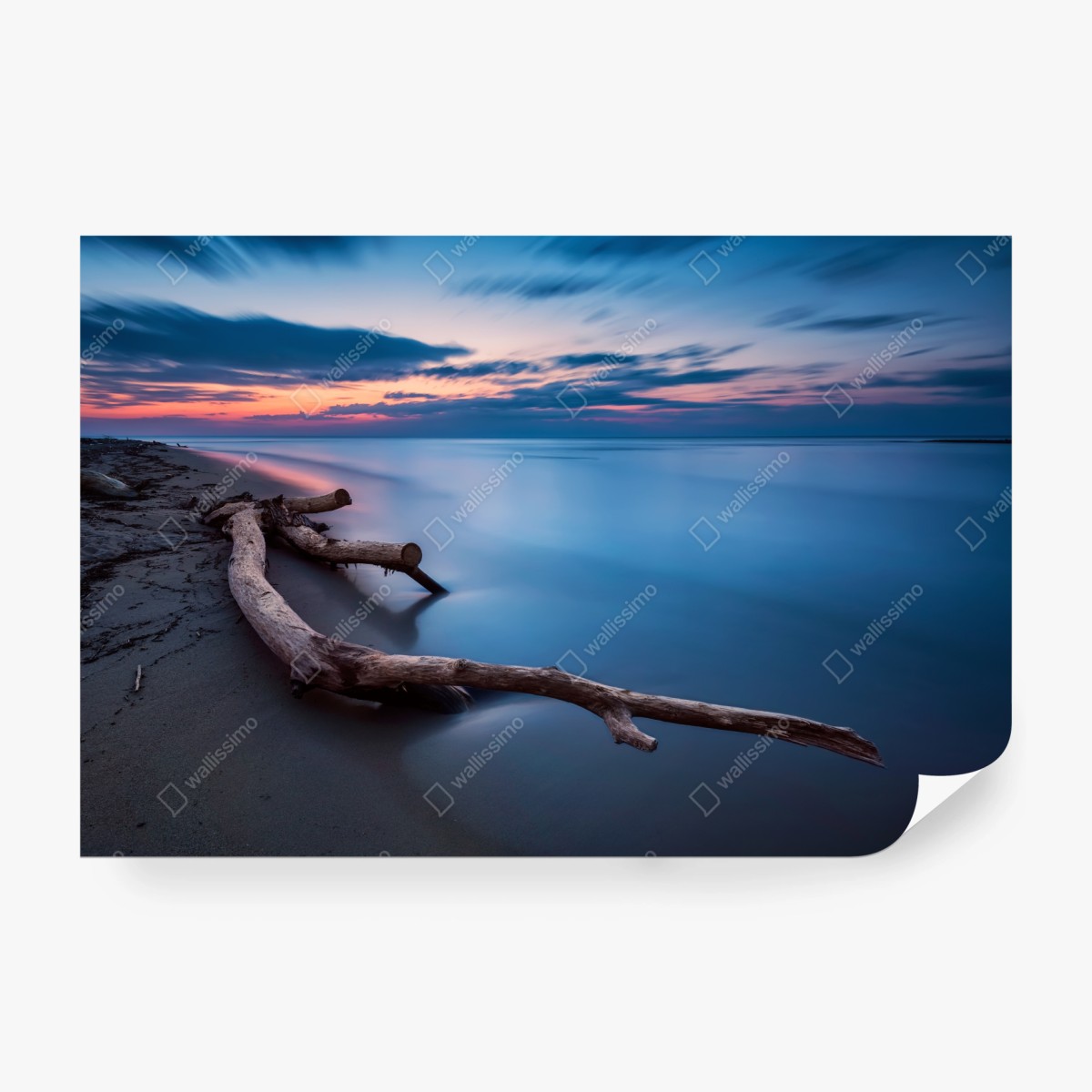 Fototapete treibholz bei dämmerung am ruhigen strand – Wallnifity®