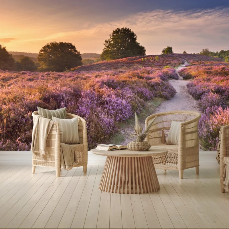 Fototapete Posbank bei sonnenaufgang über blühender heide – Wallnifity®