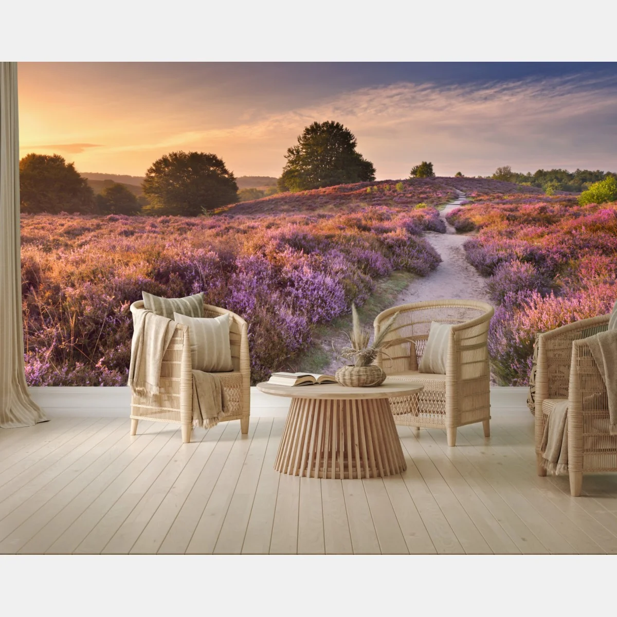 Fototapete Posbank bei sonnenaufgang über blühender heide – Wallnifity®