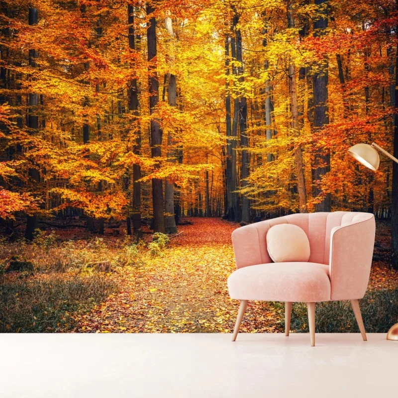 Fototapete herbstlicher waldpfad mit goldenen blättern