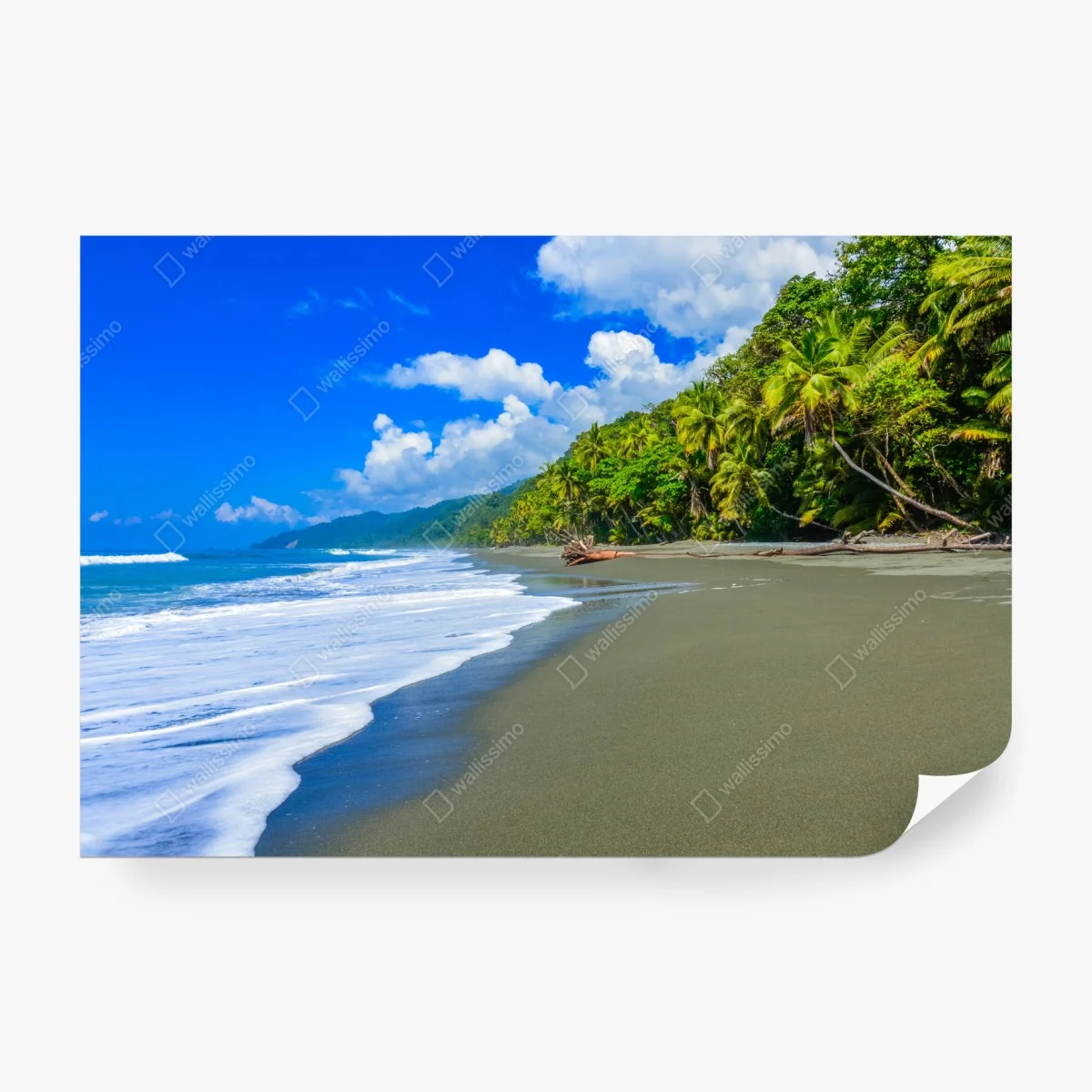 Fototapete wilder strand bei Corcovado, Costa Rica – Wallnifity® Fototapete wilder strand bei Corcovado, Costa Rica – Wallnifity®