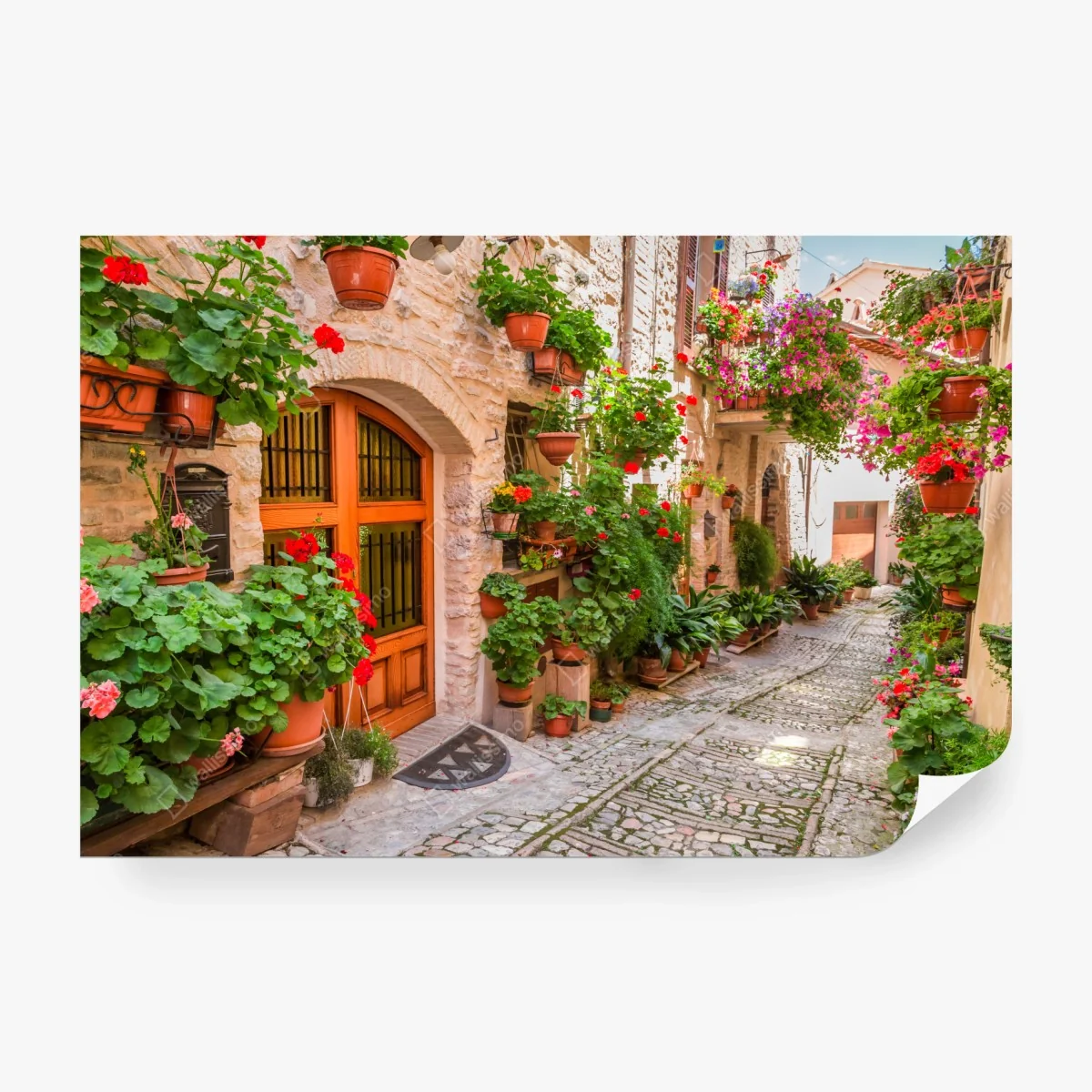 Fototapete sonnige gasse in Italien mit blühenden töpfen – Wallnifity® Fototapete sonnige gasse in Italien mit blühenden töpfen – Wallnifity®