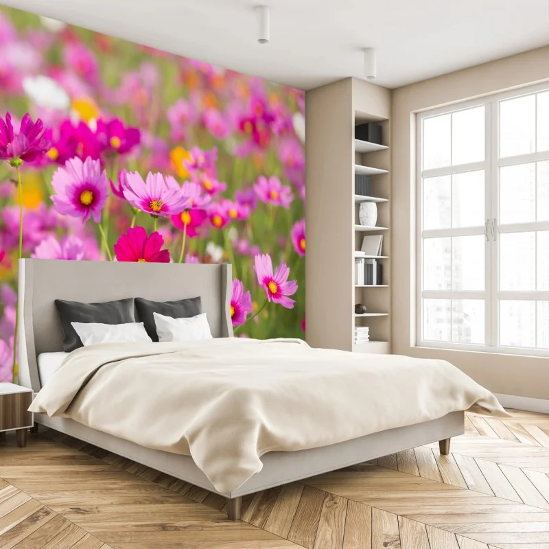 Fototapete rosa kosmeenwiese in blüte – Wallnifity® Fototapete rosa kosmeenwiese in blüte – Wallnifity®