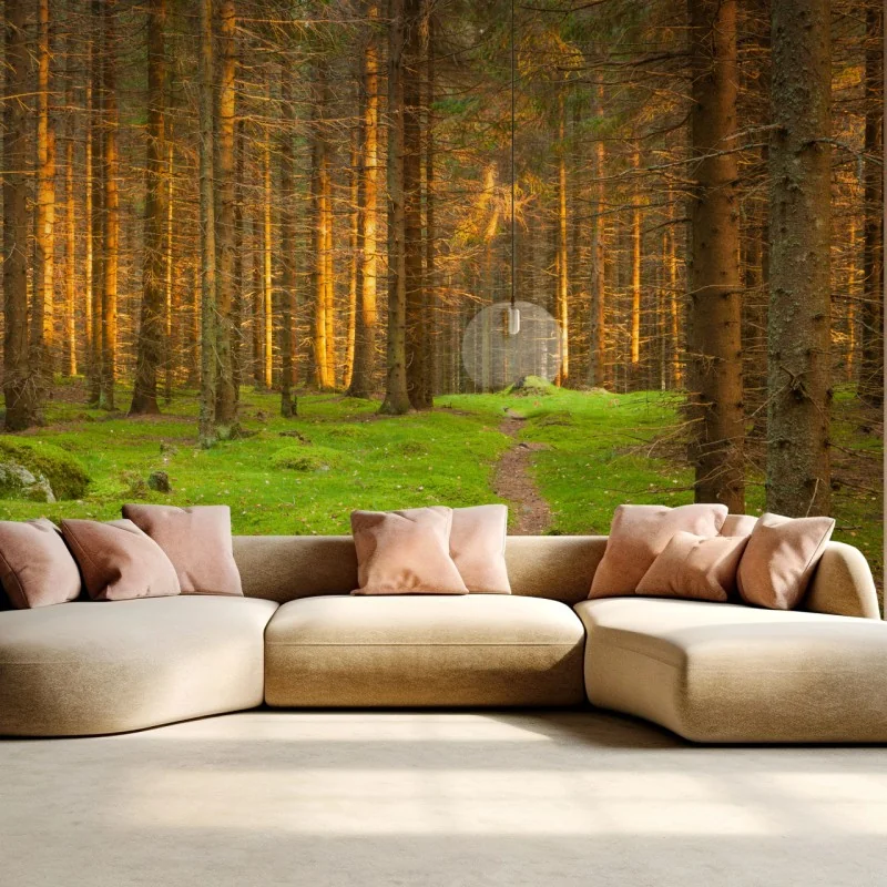 Fototapete goldenes licht im moosbedeckten kiefernwald