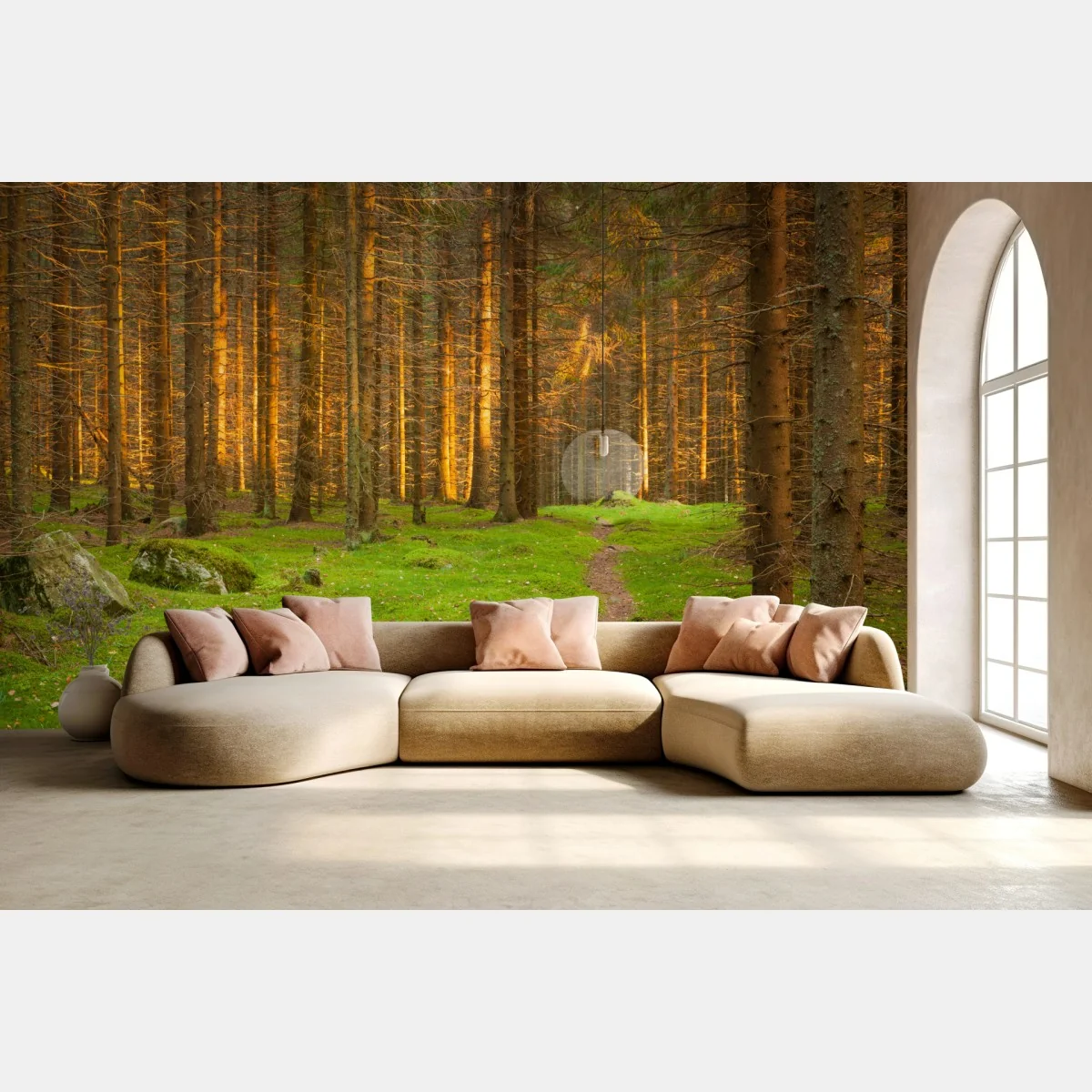 Fototapete goldenes licht im moosbedeckten kiefernwald – Wallnifity® Fototapete goldenes licht im moosbedeckten kiefernwald – Wallnifity®