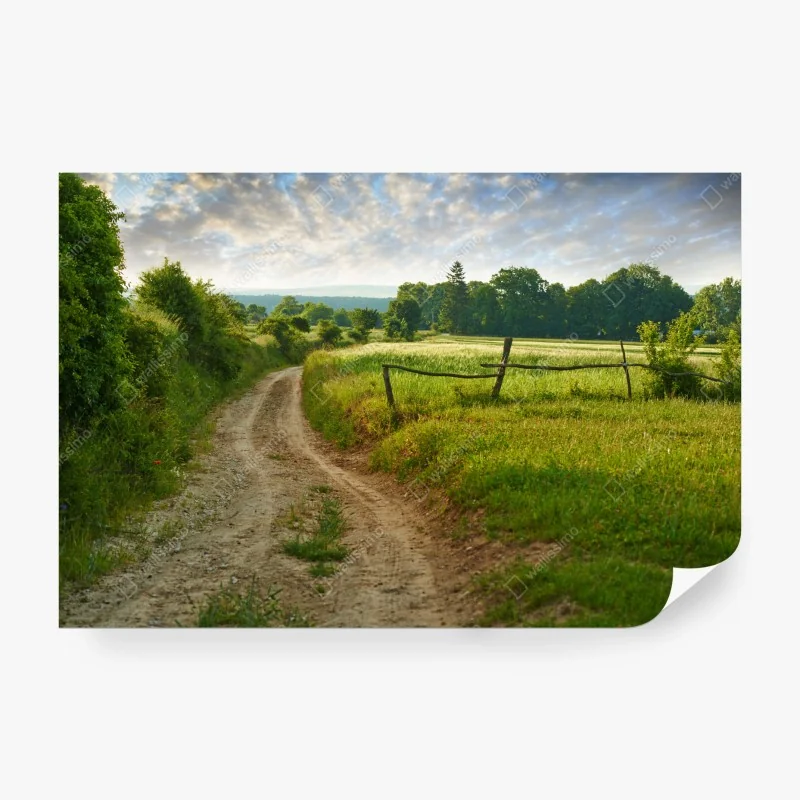 Fototapete sonniger landweg durch grüne wiesen