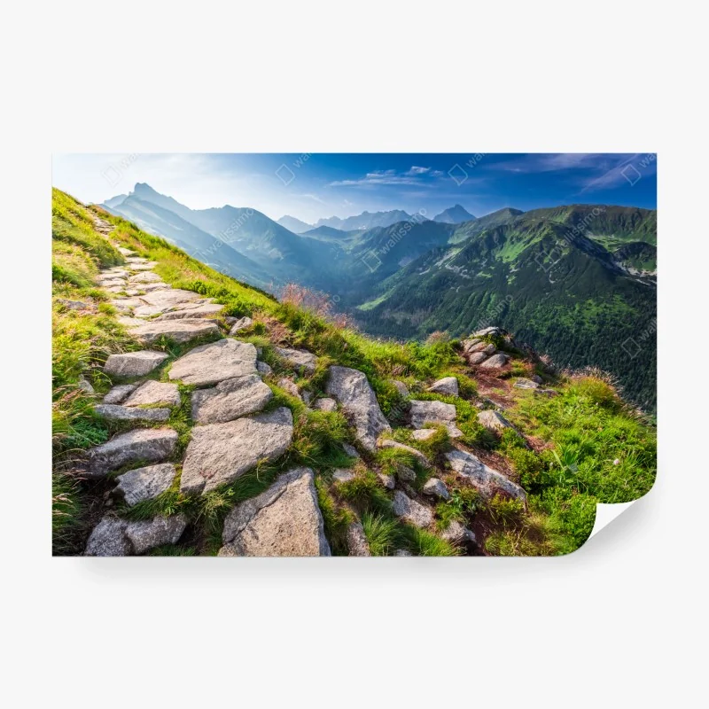 Fototapete nebliger steg im tropischen dschungel – Wallnifity®