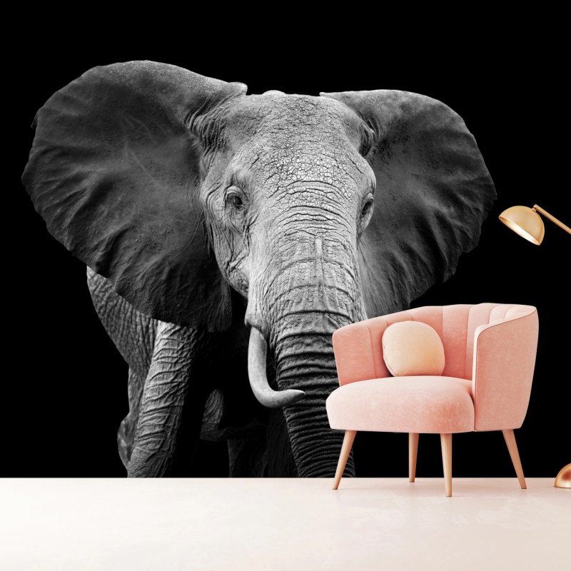 Fototapete majestätisches elefantenporträt in monochrom – Wallnifity® Fototapete majestätisches elefantenporträt in monochrom – Wallnifity®