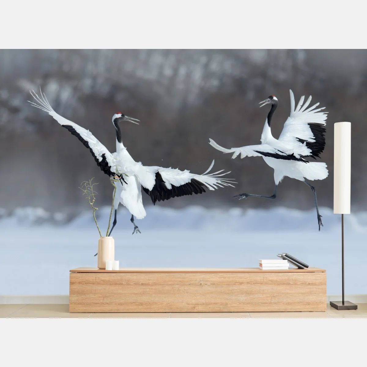 Fototapete tanzende rotkronenkraniche im schnee, Hokkaido – Wallnifity®