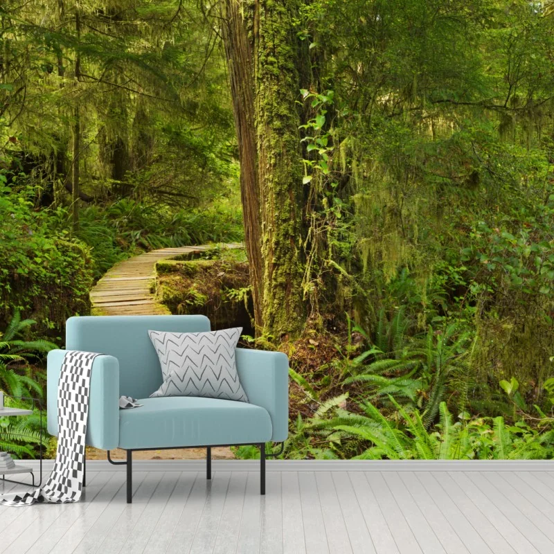 Fototapete steg im Pacific Rim regenwald – Wallnifity® Fototapete steg im Pacific Rim regenwald – Wallnifity®