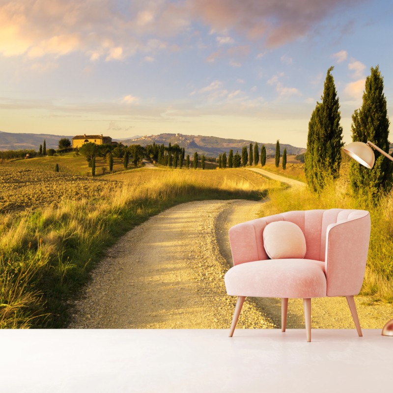 Fototapete goldene landstraße zwischen zypressen – Wallnifity® Fototapete goldene landstraße zwischen zypressen – Wallnifity®