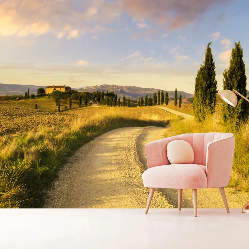 Fototapete goldene landstraße zwischen zypressen