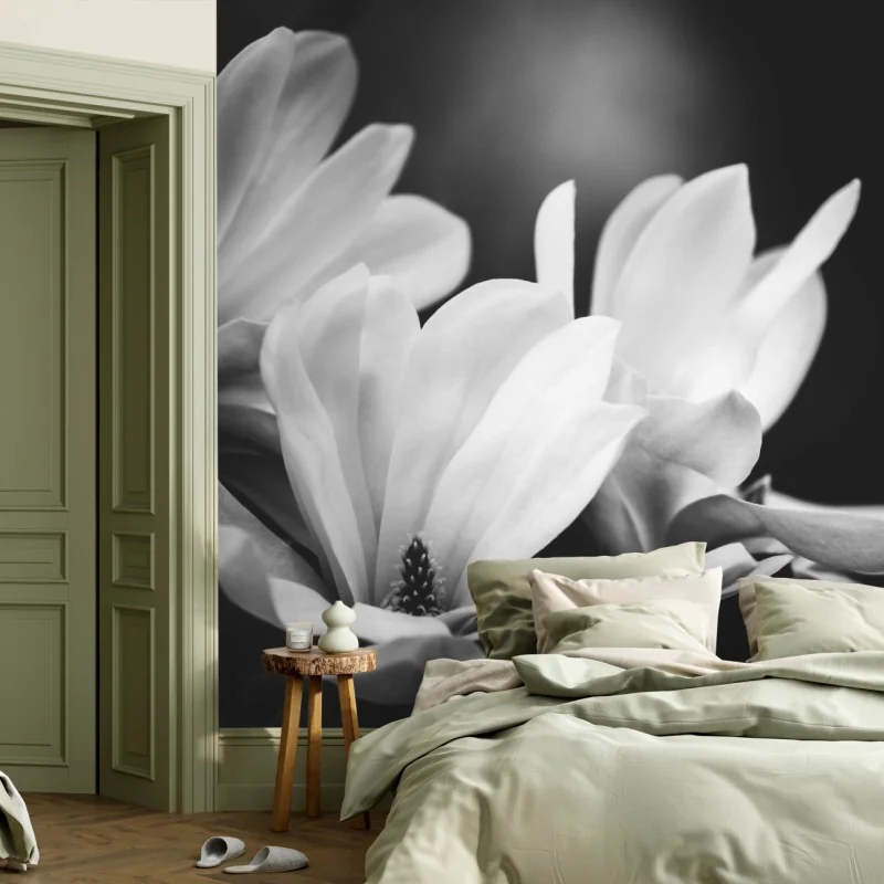 Fototapete schwarzweiß magnolienblüte nahaufnahme – Wallnifity® Fototapete schwarzweiß magnolienblüte nahaufnahme – Wallnifity®