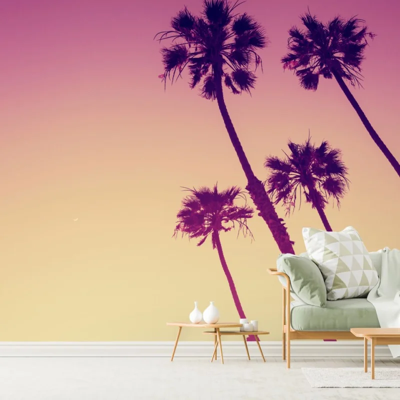 Fototapete kalifornische palmen bei Sunset Cliffs