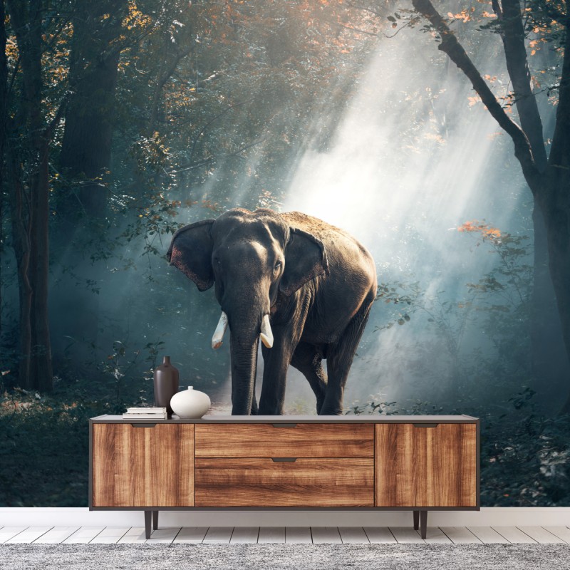 Fototapete majestätischer elefant im sonnenlichtdurchfluteten wald