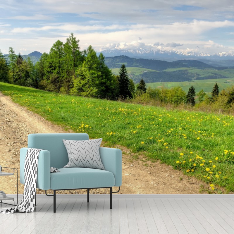 Fototapete Gorce frühlingspfad