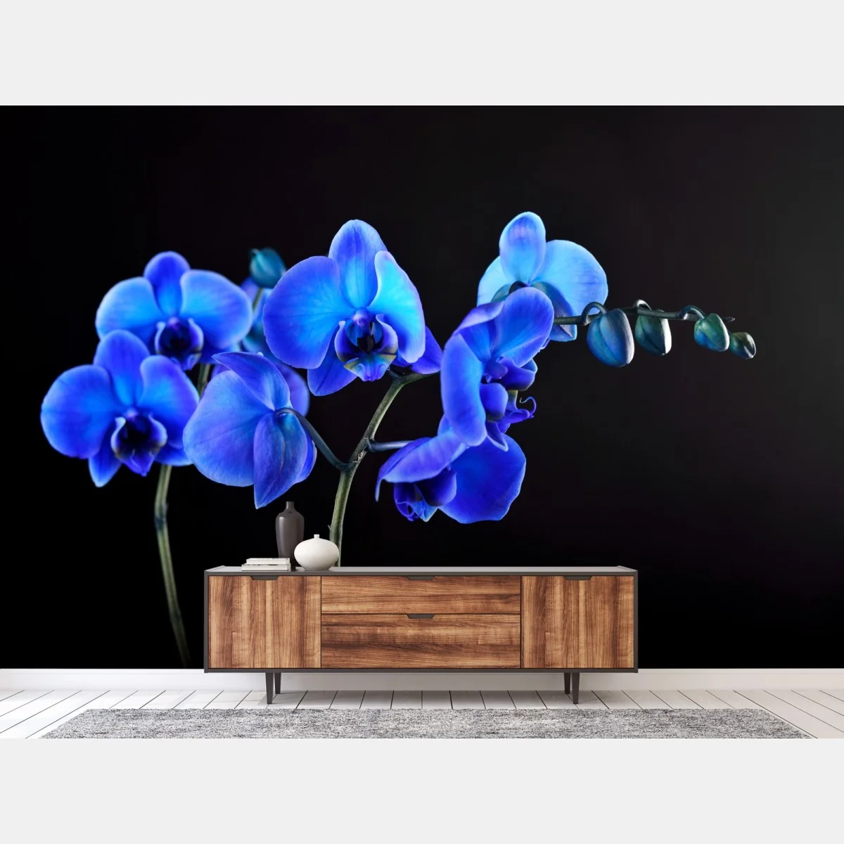 Fototapete leuchtende blaue orchidee vor schwarzem hintergrund – Wallnifity® Fototapete leuchtende blaue orchidee vor schwarzem hintergrund – Wallnifity®