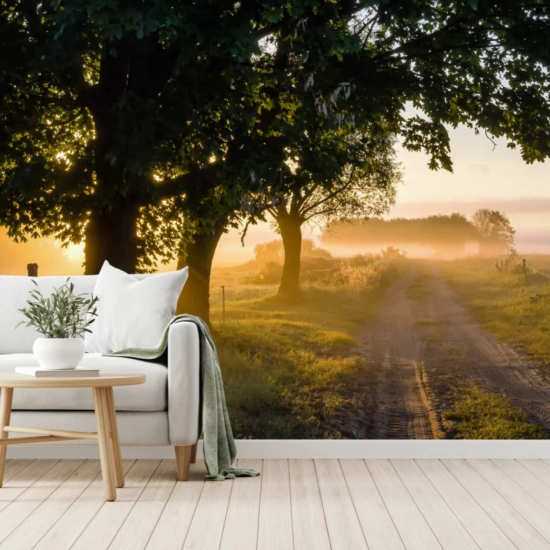 Fototapete sonnenbeschienener landweg im morgendunst – Wallnifity® Fototapete sonnenbeschienener landweg im morgendunst – Wallnifity®