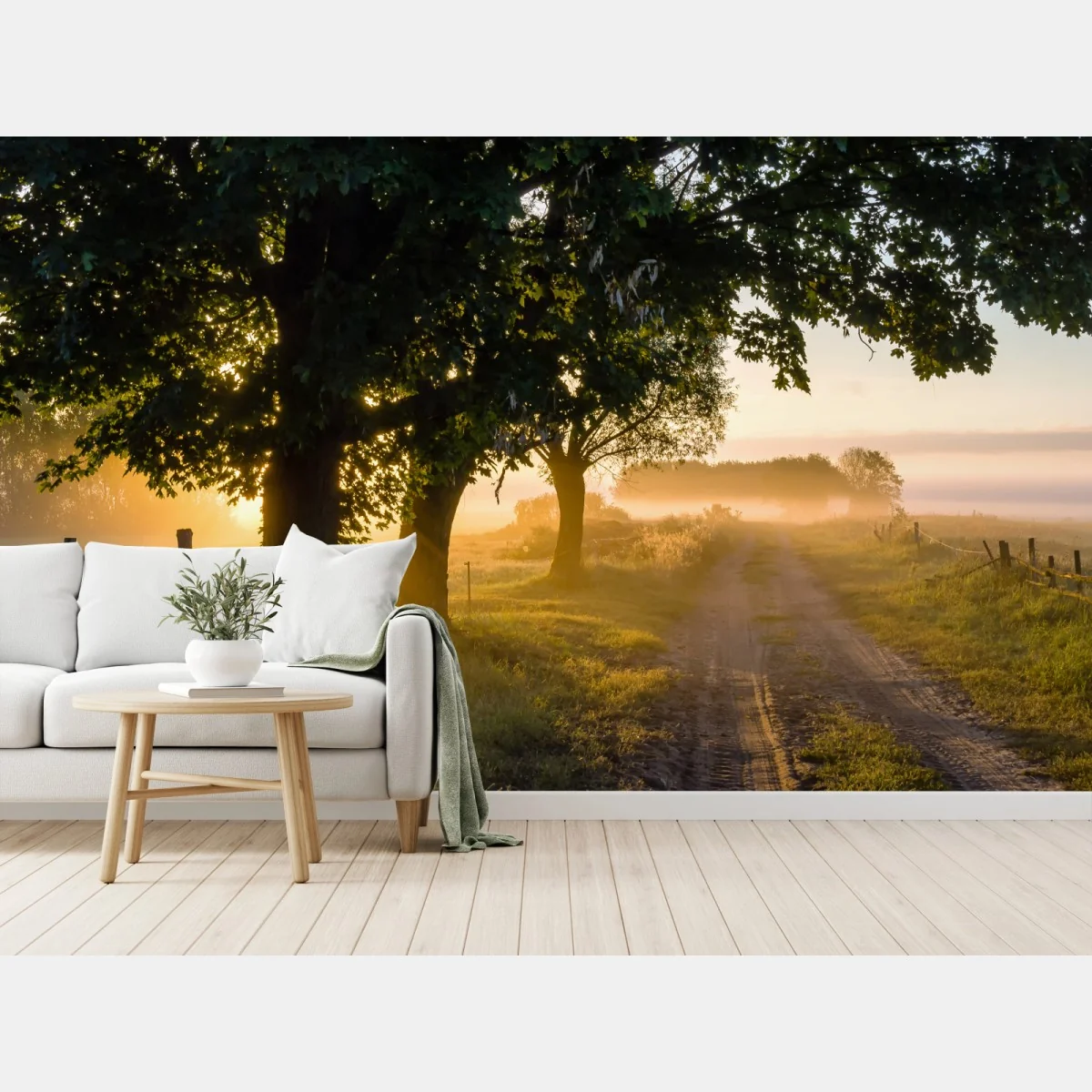 Fototapete sonnenbeschienener landweg im morgendunst – Wallnifity® Fototapete sonnenbeschienener landweg im morgendunst – Wallnifity®