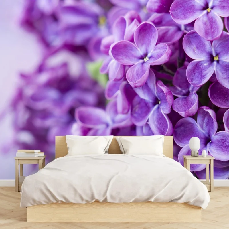 Fototapete lila fliederblüten nahaufnahme – Wallnifity® Fototapete lila fliederblüten nahaufnahme – Wallnifity®
