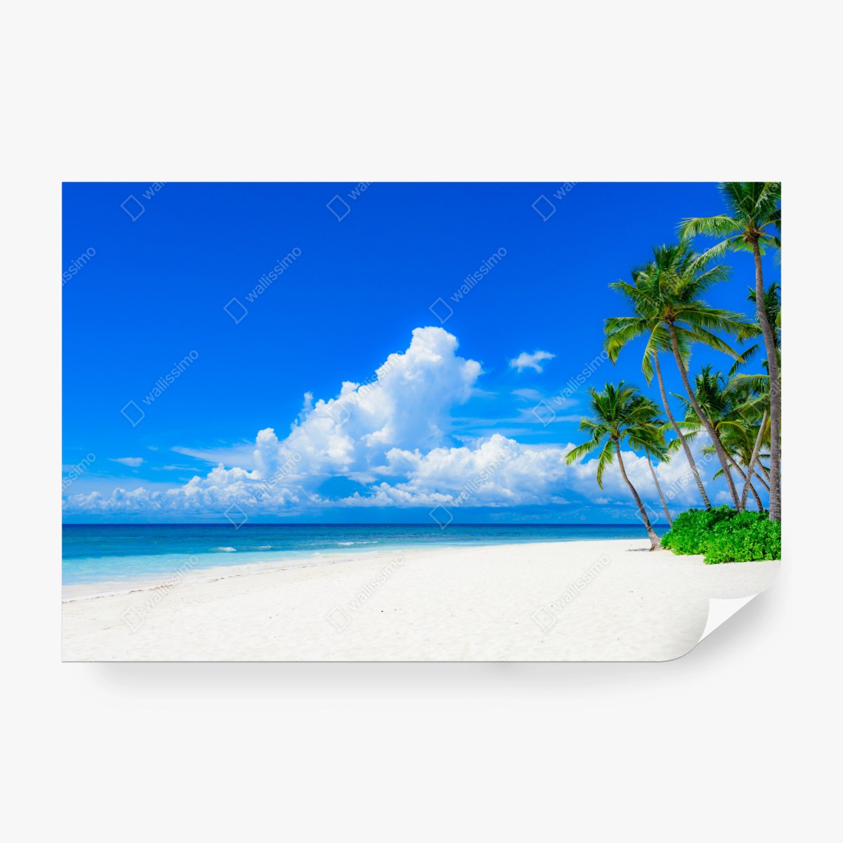 Fototapete tropischer palmenstrand unter blauem himmel – Wallnifity® Fototapete tropischer palmenstrand unter blauem himmel – Wallnifity®