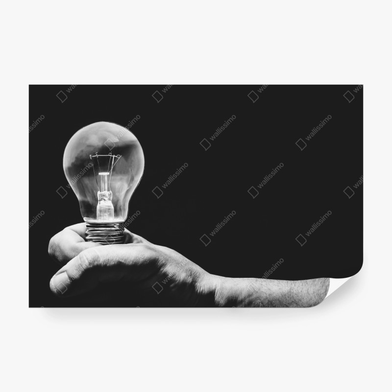 Fototapete monochrome hand hält glühbirne