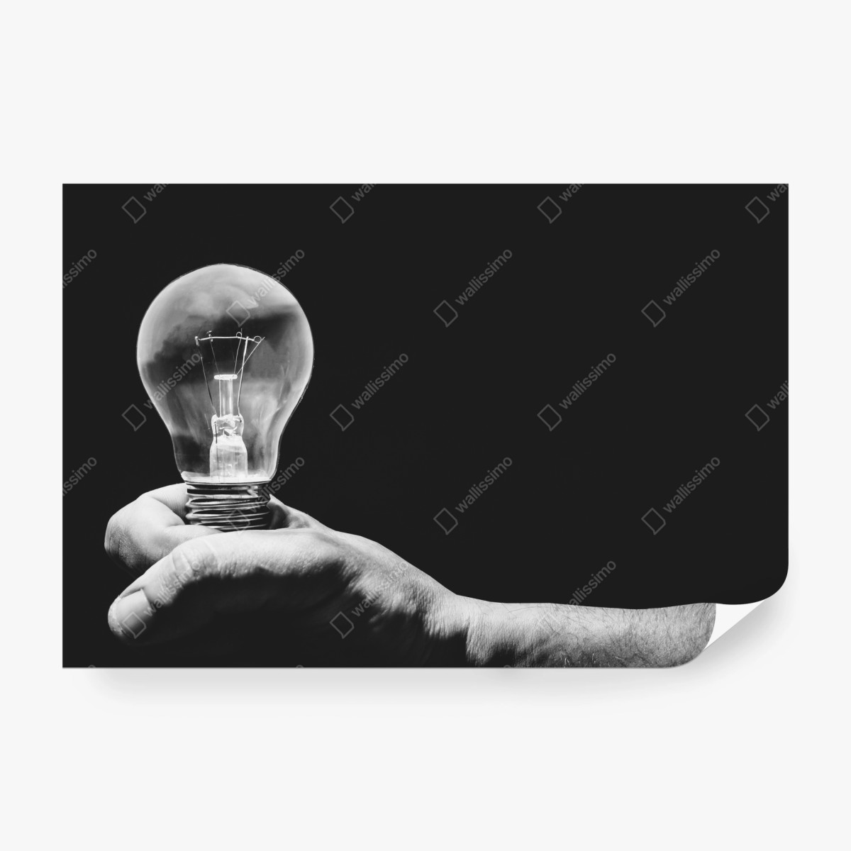 Fototapete monochrome hand hält glühbirne – Wallnifity®