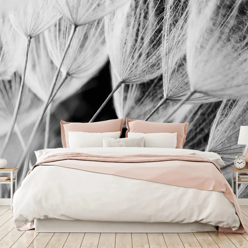 Fototapete zarte nahaufnahme von löwenzahnsamen in monochrom