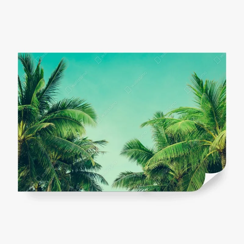 Fototapete elegantes beiges damastmuster – Wallnifity®