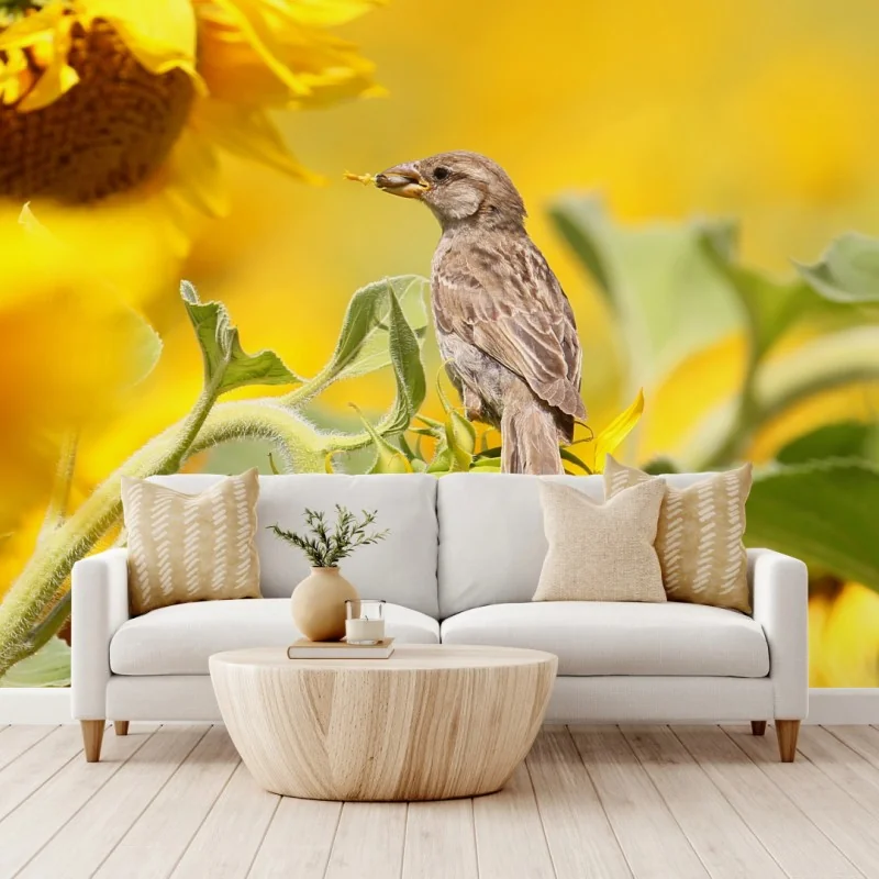 Fototapete spatz auf einer sonnenblume – Wallnifity® Fototapete spatz auf einer sonnenblume – Wallnifity®