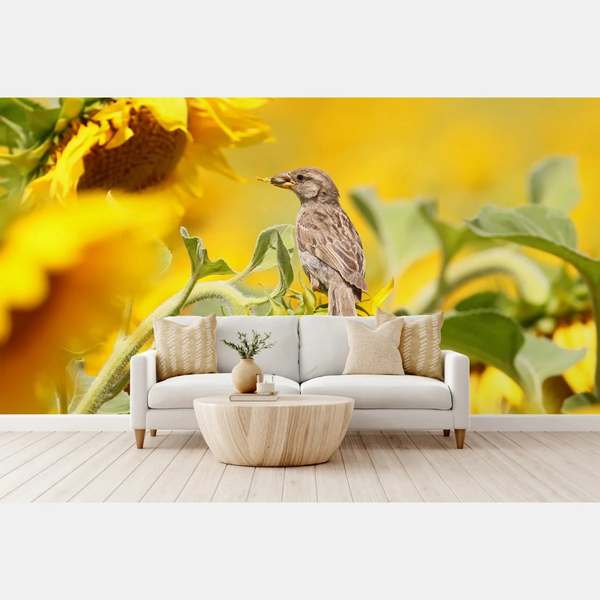 Fototapete spatz auf einer sonnenblume – Wallnifity® Fototapete spatz auf einer sonnenblume – Wallnifity®