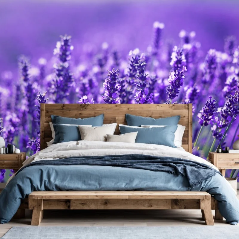 Fototapete lavendelfeld nahaufnahme