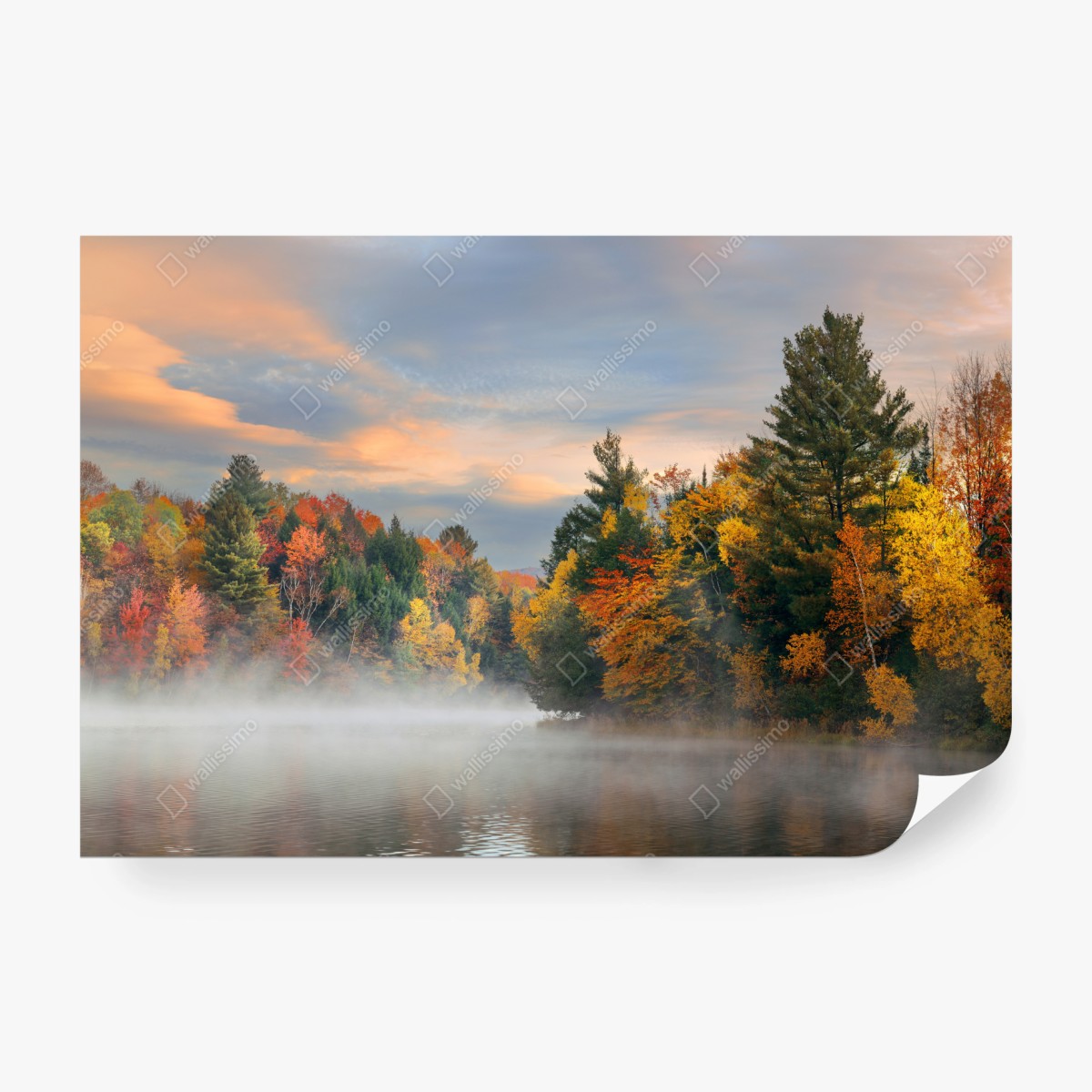 Fototapete nebliger herbstmorgen in Stowe – Wallnifity®