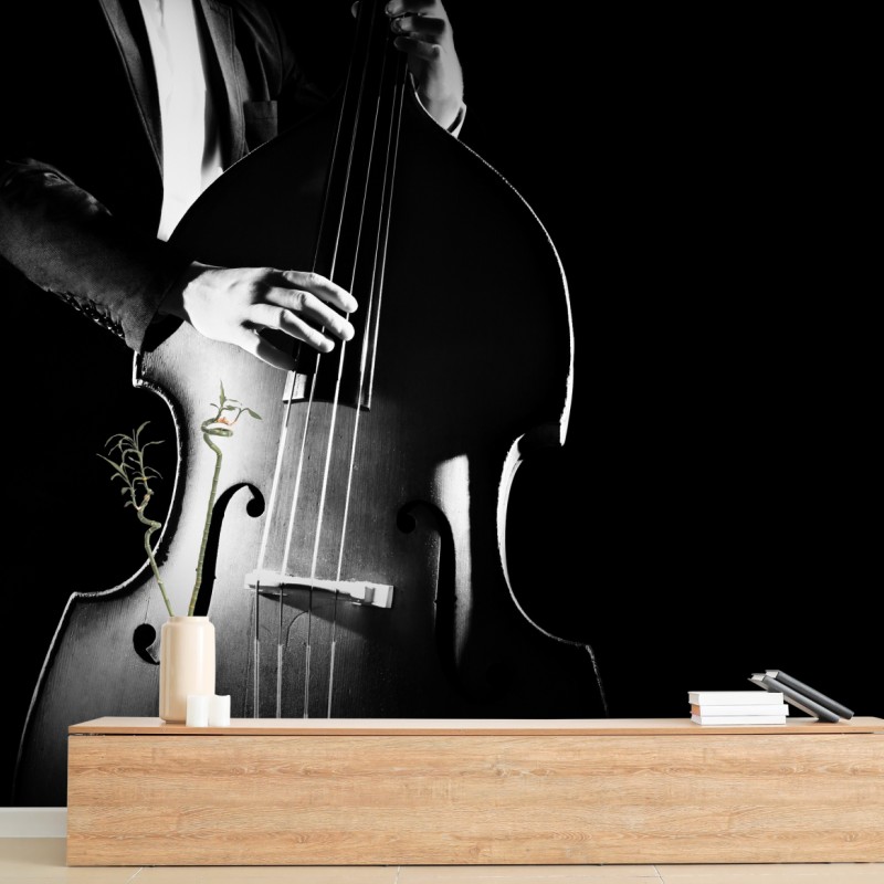 Fototapete kontrabassist im dramatischen licht