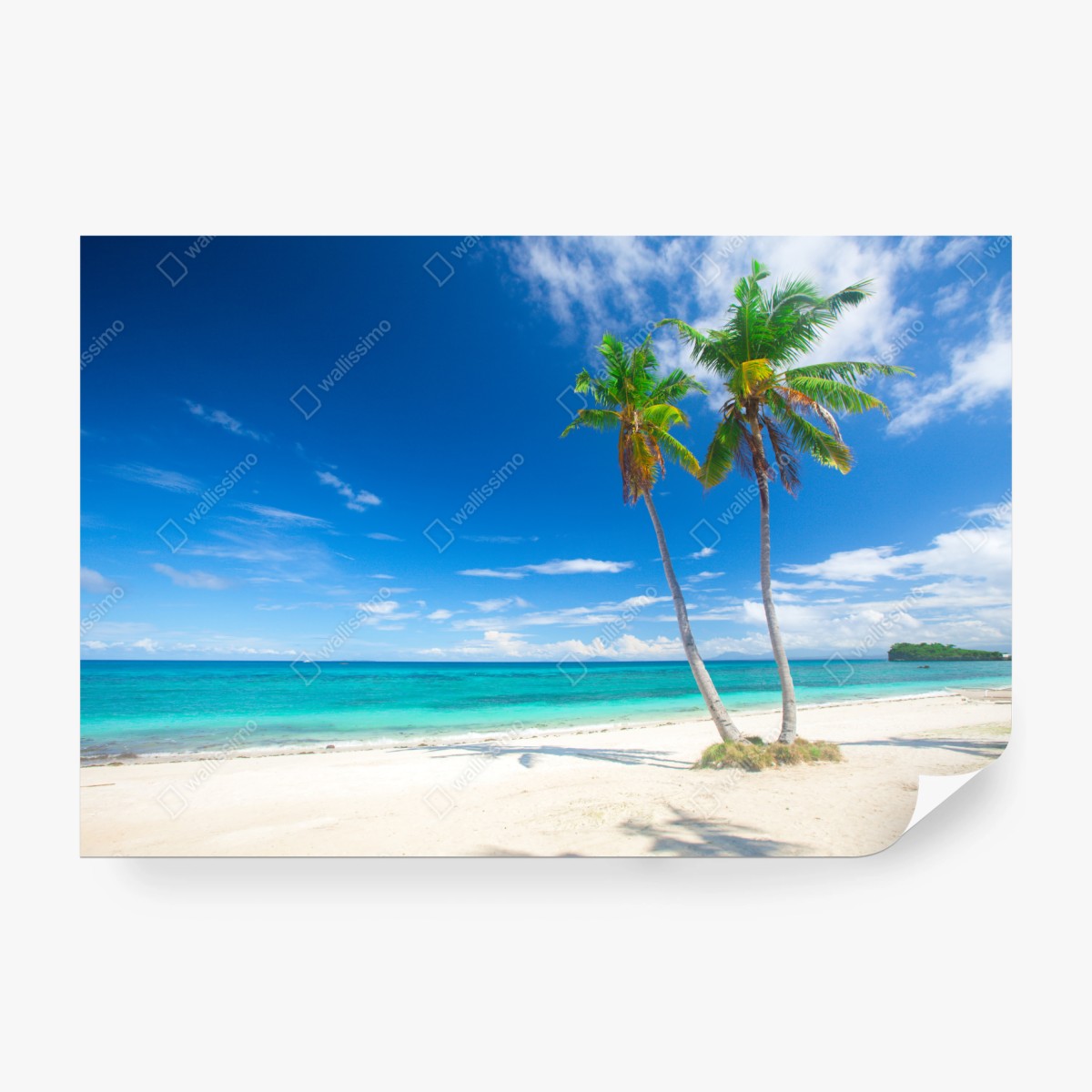 Fototapete tropische palmen an einem türkisfarbenen strand – Wallnifity® Fototapete tropische palmen an einem türkisfarbenen strand – Wallnifity®